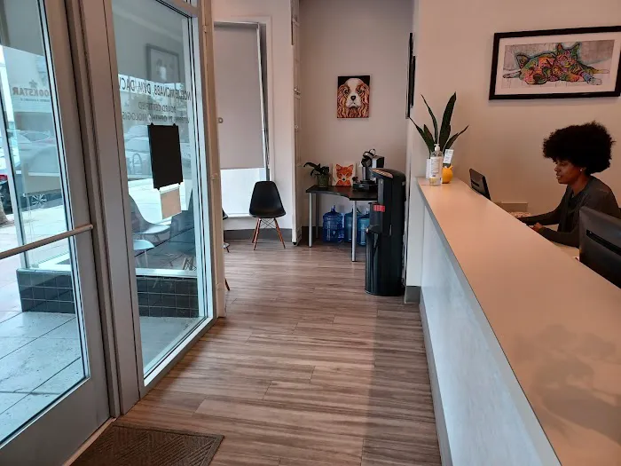 Animal Vision Care & Surgical Center 2