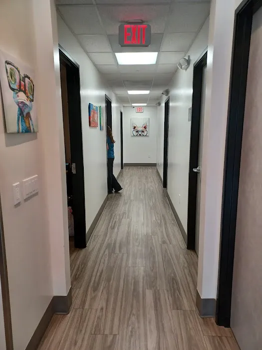 Animal Vision Care & Surgical Center 3