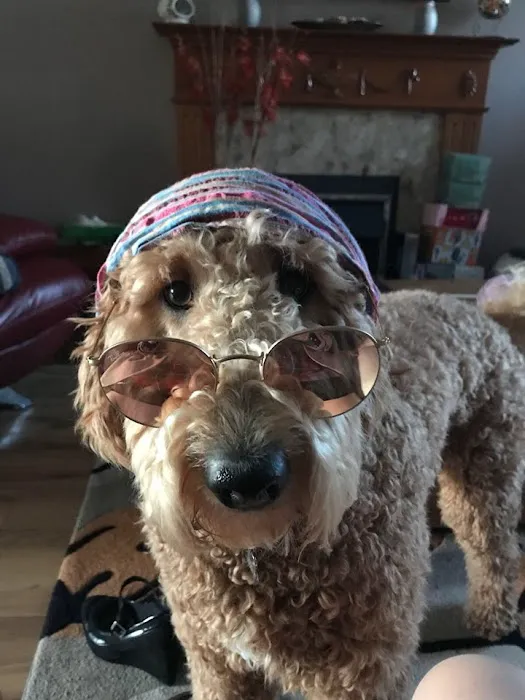 Animal Vision Care & Surgical Center 4
