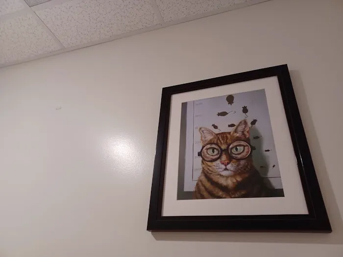Animal Vision Care & Surgical Center 1