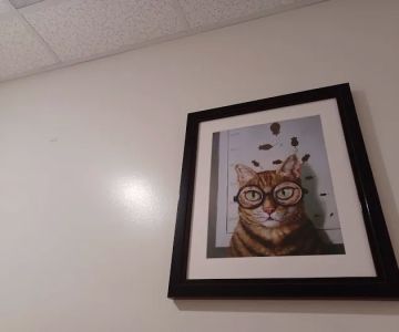 Animal Vision Care & Surgical Center