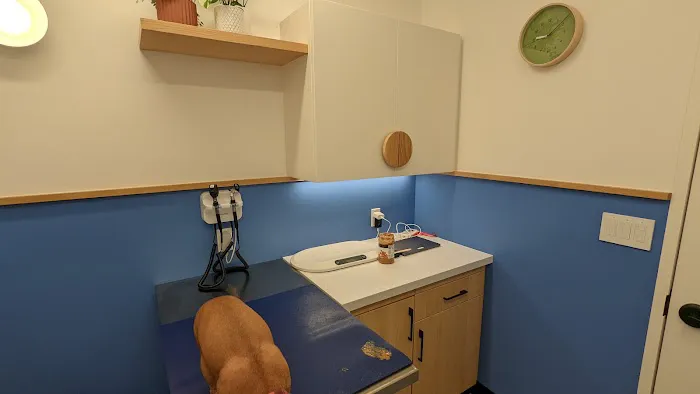 Modern Animal 1