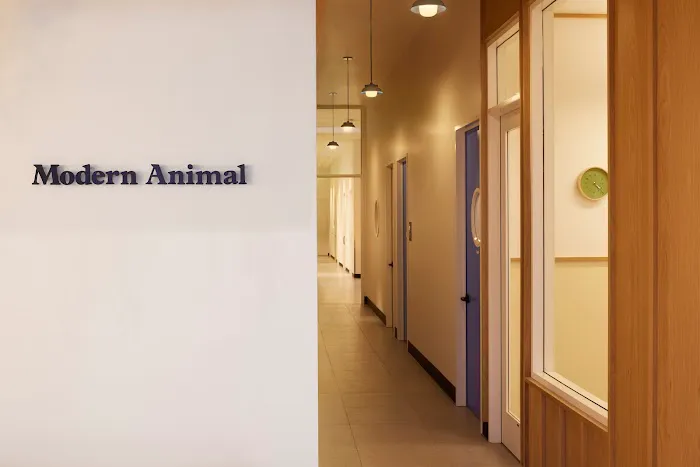 Modern Animal 7