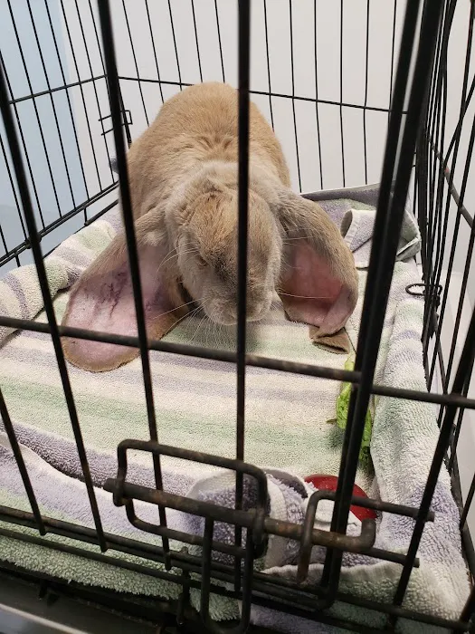 The Critter Care Center 12
