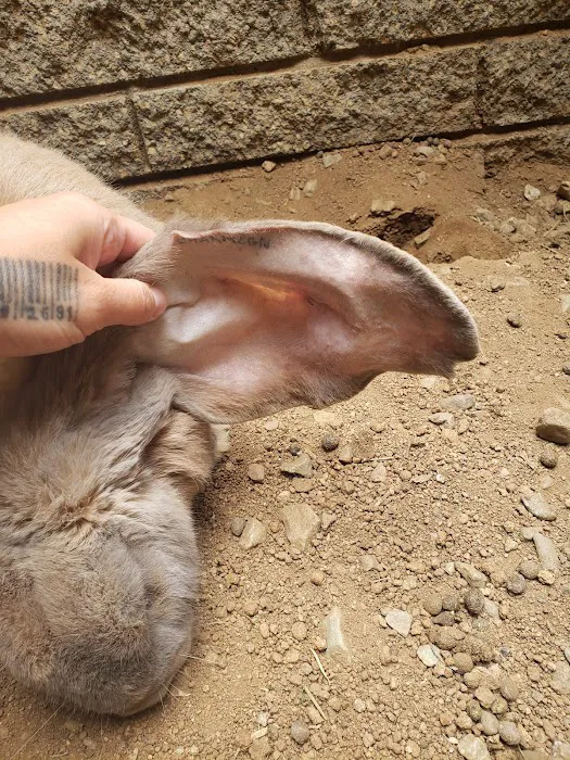 The Critter Care Center 12