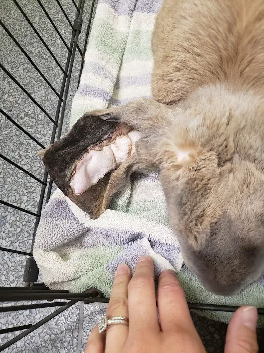 The Critter Care Center 12