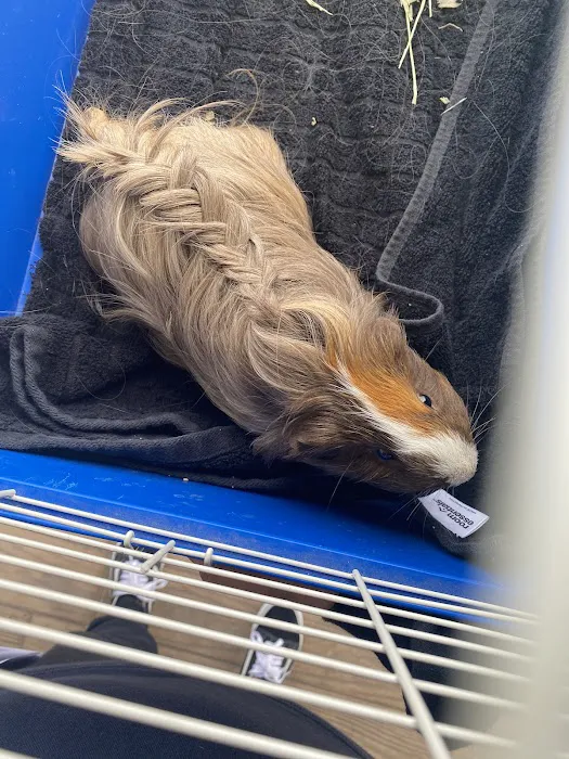 The Critter Care Center 12