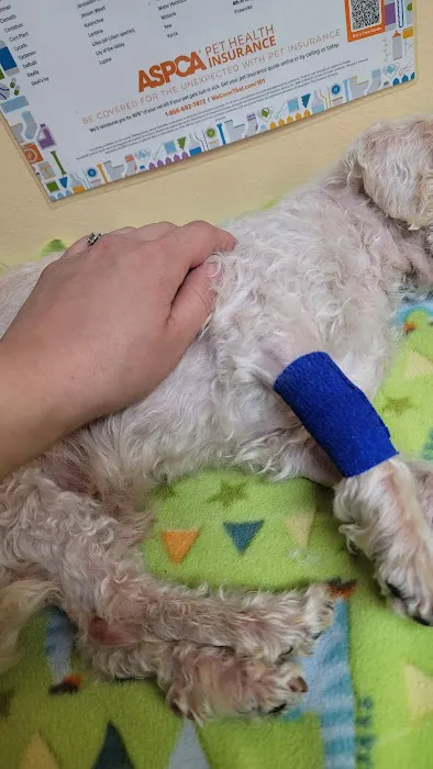 Atlas Pet Hospital 12