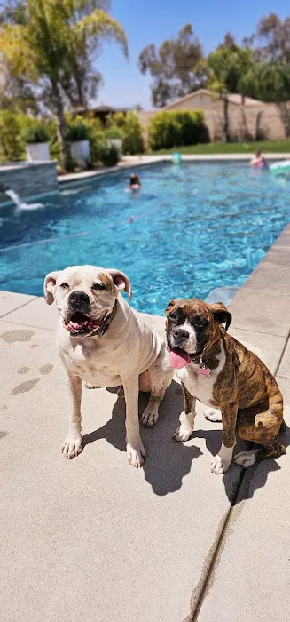 Atlas Pet Hospital 12
