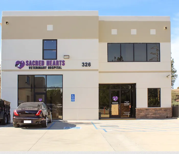 Sacred Hearts Veterinary Hospital 12