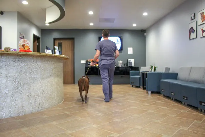 Sacred Hearts Veterinary Hospital 12