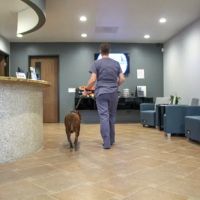 Sacred Hearts Veterinary Hospital ico