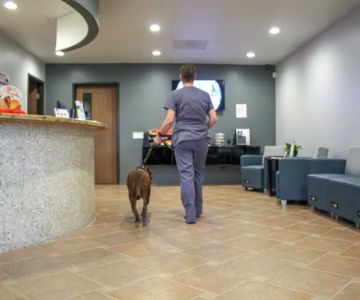 Sacred Hearts Veterinary Hospital