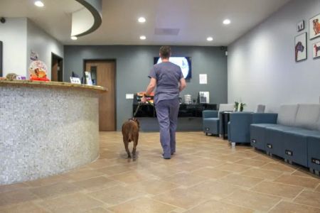 Sacred Hearts Veterinary Hospital
