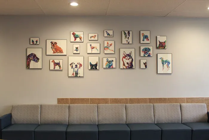 Sacred Hearts Veterinary Hospital 12