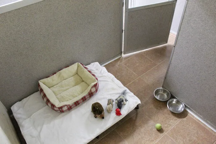 Sacred Hearts Veterinary Hospital 12