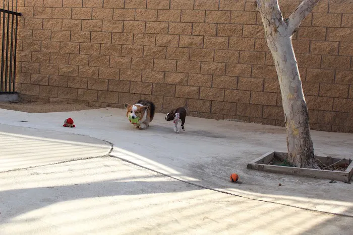 Sacred Hearts Veterinary Hospital 12