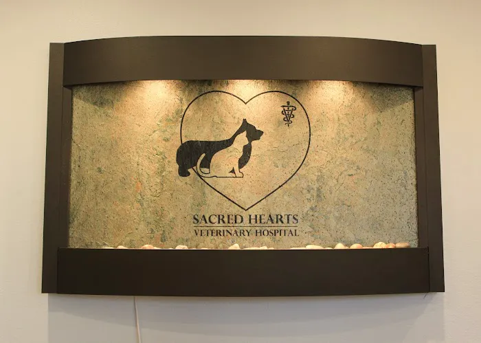 Sacred Hearts Veterinary Hospital 12