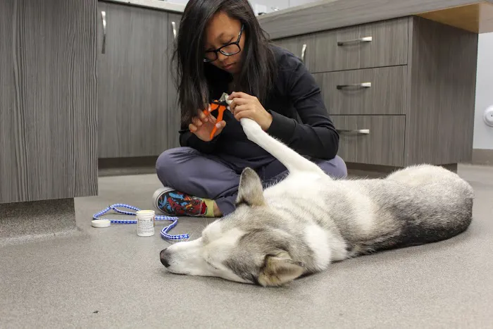 Sacred Hearts Veterinary Hospital 12