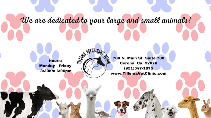 Tillema Veterinary Clinic 1