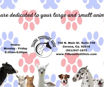 Tillema Veterinary Clinic
