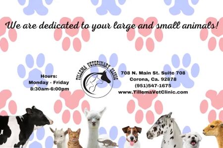 Tillema Veterinary Clinic