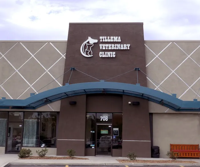 Tillema Veterinary Clinic 6