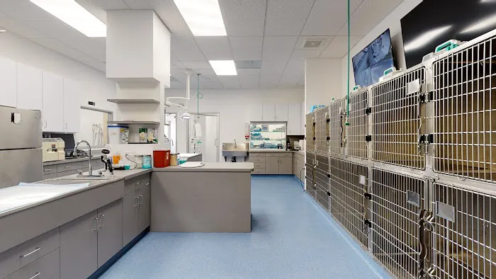 Corona Animal Emergency Center 12