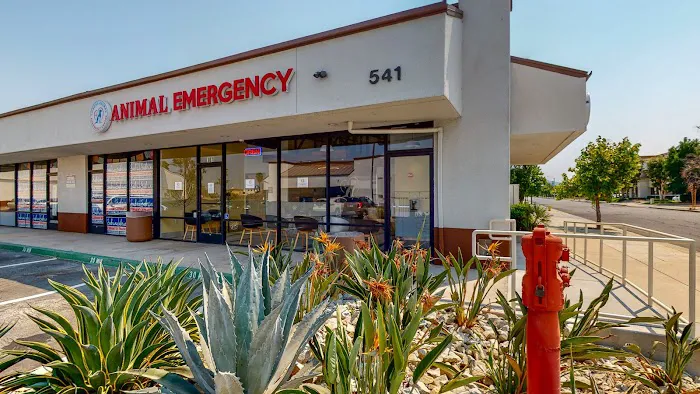 Corona Animal Emergency Center 12