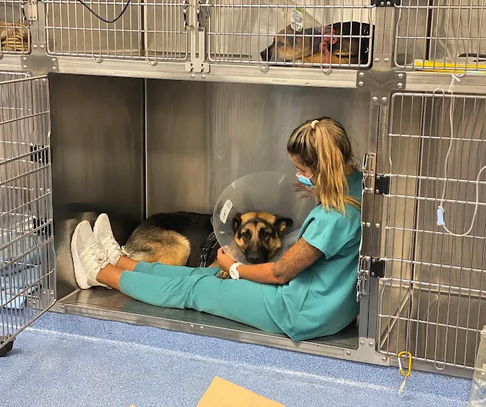 Corona Animal Emergency Center 12