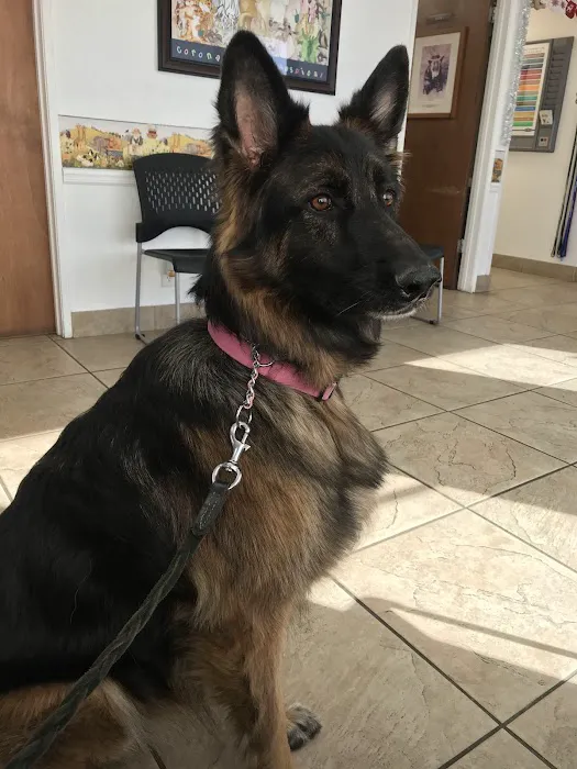 Corona Animal Hospital 12