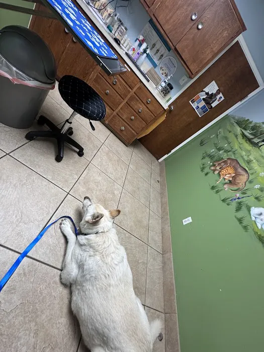 Corona Animal Hospital 12