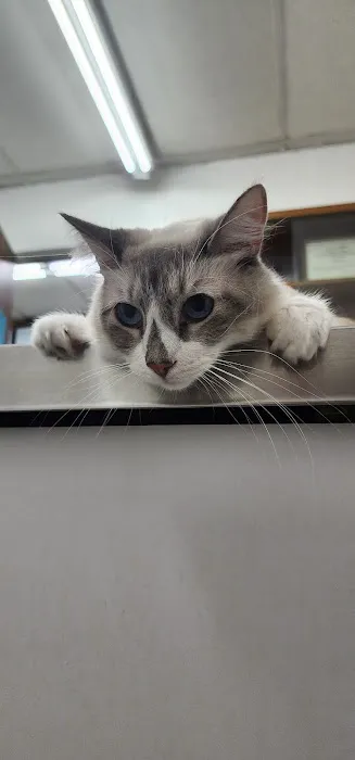 Center-La Sierra Pet Clinic 12