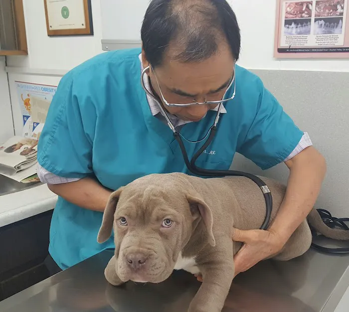 Center-La Sierra Pet Clinic 12