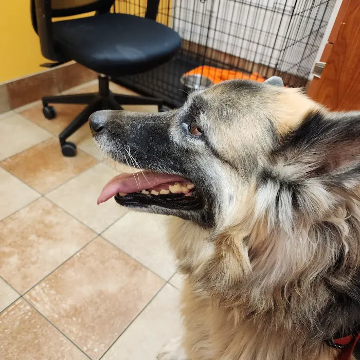 Banfield Pet Hospital 12