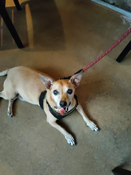 Banfield Pet Hospital 12