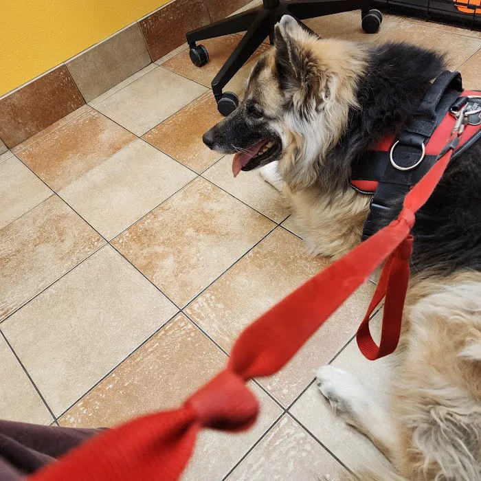 Banfield Pet Hospital 12