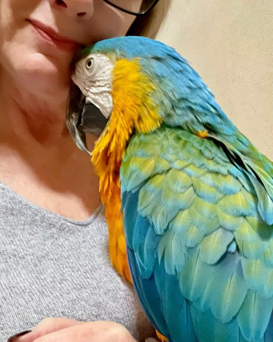 Animal Medical Center of Corona 12