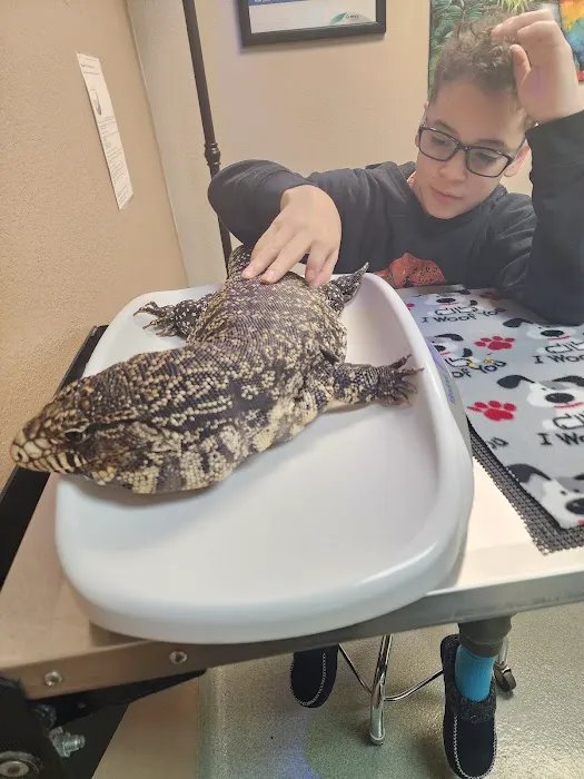 Animal Medical Center of Corona 12