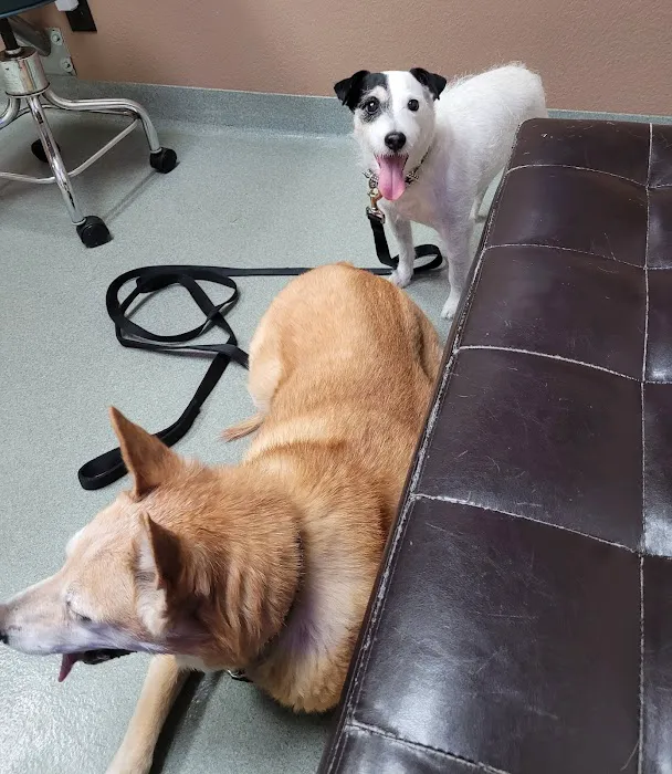 Animal Medical Center of Corona 12