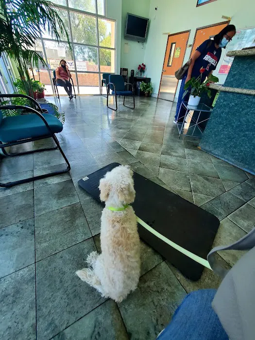 Fontana Animal Hospital 12
