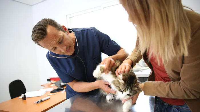 Fontana Animal Hospital 12