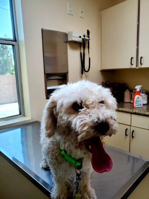 Fontana Animal Hospital 12