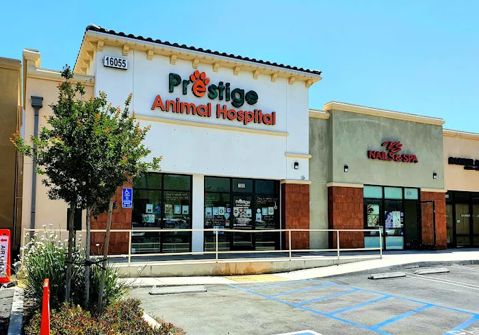 Prestige Animal Hospital - North Fontana 12