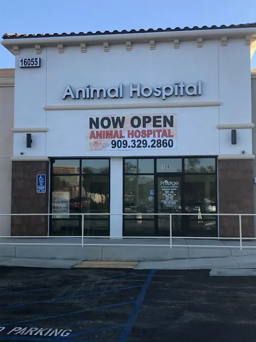 Prestige Animal Hospital - North Fontana 12