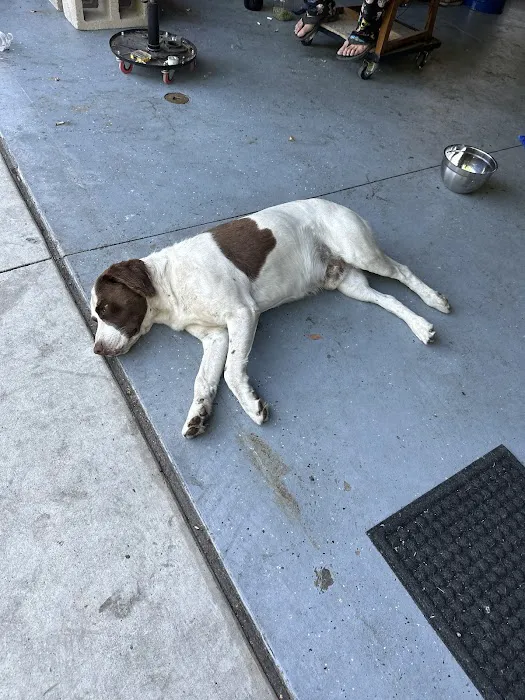 Rancho Cucamonga 12