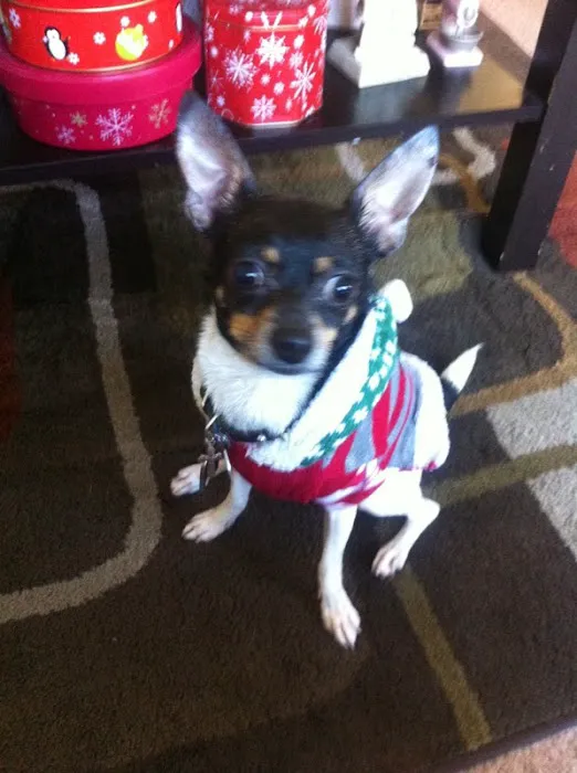 Banfield Pet Hospital 12