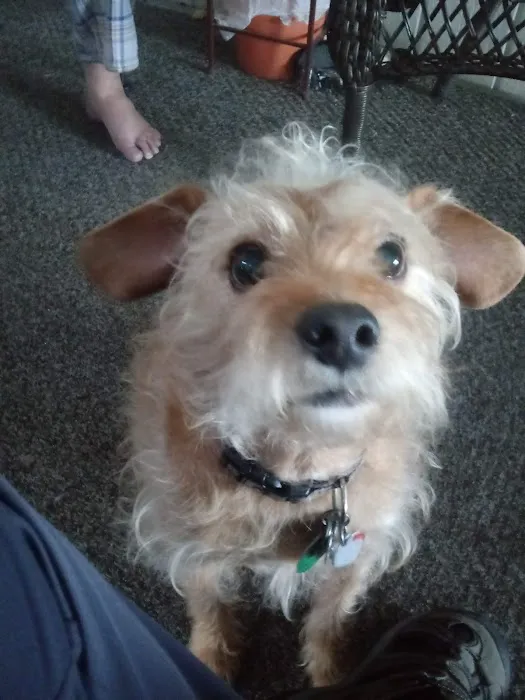 Banfield Pet Hospital 12