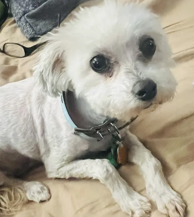 Banfield Pet Hospital 12