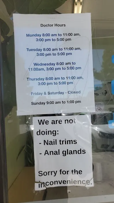 Animal Hospital Veterinarian 12